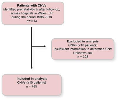 Contribution of Congenital Heart Disorders Associated With Copy Number Variants in Mediating Risk for Brain Developmental Disorders: Evidence From 20-Year Retrospective Cohort Study